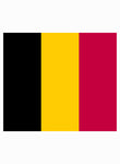 Belgian Flag T-Shirt