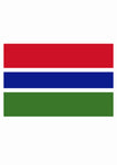 Gambians Flag T-Shirt