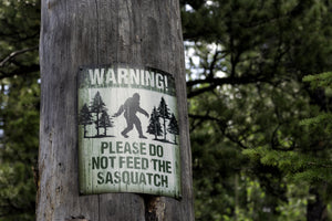 Tres cosas que debe saber sobre los avistamientos de Bigfoot