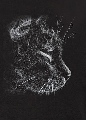 Cat Hair T-Shirt