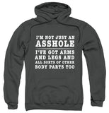 FV10097 I'm Not Just an Asshole, I've Got Arms and Legs and All Sorts of Other Body Parts Too Charcoal Hoodie