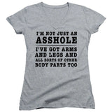 FV10097 I'm Not Just an Asshole, I've Got Arms and Legs and All Sorts of Other Body Parts Too Heather Grey Girls V Neck