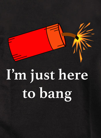 I’m just here to bang T-Shirt