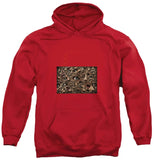 Facial Recognition Red Hoodie
