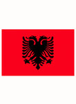 Albania Flag Kids T-Shirt