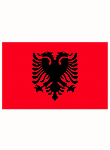 Albania Flag Kids T-Shirt
