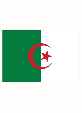 Algeria Flag Kids T-Shirt
