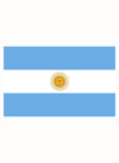 Bandera Argentina Camiseta para niños