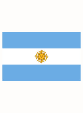 Argentinian Flag Kids T-Shirt