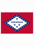 Bandera del estado de Arkansas Camiseta para niños