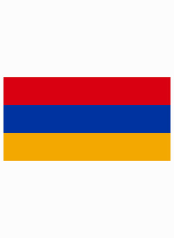 Armenian Flag Kids T-Shirt