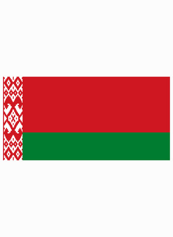 Belarusian Flag Kids T-Shirt