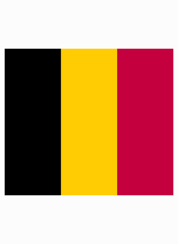 T-shirt drapeau belge