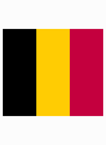 Belgian Flag Kids T-Shirt