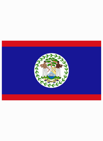 Belizean Flag Kids T-Shirt