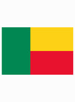 Beninese Flag Kids T-Shirt