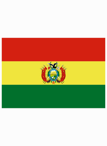 Bolivian Flag Kids T-Shirt