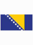 Camiseta de la bandera de Bosnia y Herzegovina