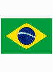 Camiseta Bandera Brasileña