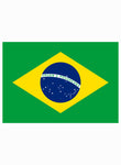 Brazilian Flag Kids T-Shirt