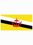 Camiseta de la bandera de Brunei