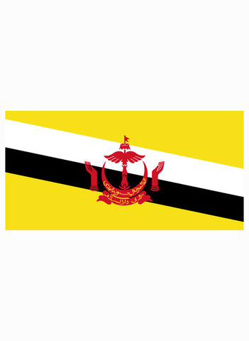 Bruneian Flag T-Shirt