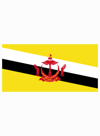 Bruneian Flag Kids T-Shirt