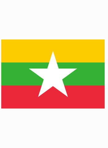 Burmese Flag Kids T-Shirt