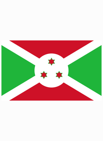 Burundian Flag Kids T-Shirt