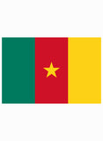 T-shirt drapeau camerounais
