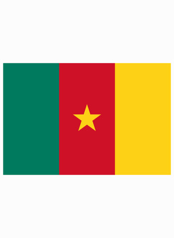 Cameroonian Flag Kids T-Shirt