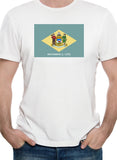 Delaware State Flag T-Shirt