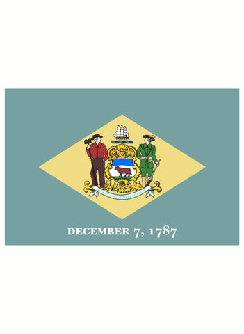 Camiseta de la bandera del estado de Delaware