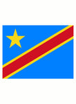 Democratic Republic of the Congo Flag Kids T-Shirt