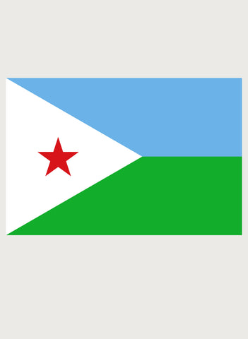 Djiboutian Flag Kids T-Shirt