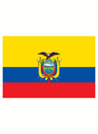 Ecuadorian Flag Kids T-Shirt