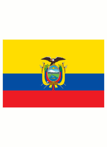 Ecuadorian Flag Kids T-Shirt