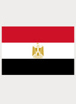 T-shirt drapeau égyptien