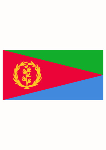 Eritrean Flag Kids T-Shirt