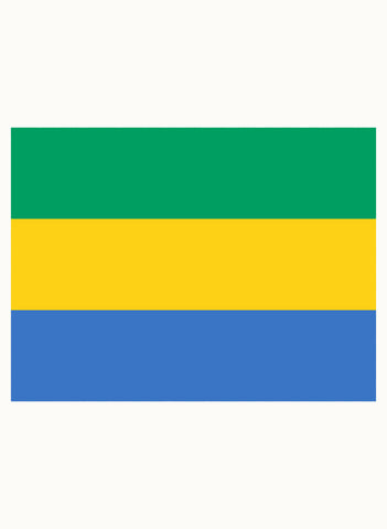 Gabonese Flag T-Shirt