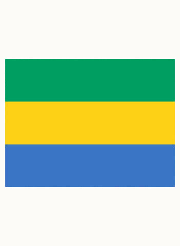 Gabonese Flag Kids T-Shirt