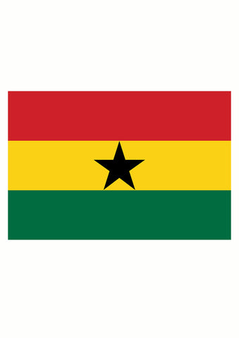 Ghanaian Flag Kids T-Shirt