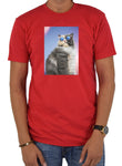 Camiseta Gato Gafas