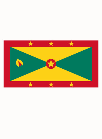 Grenadian Flag Kids T-Shirt