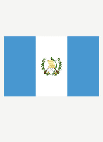 Guatemalan Flag Kids T-Shirt