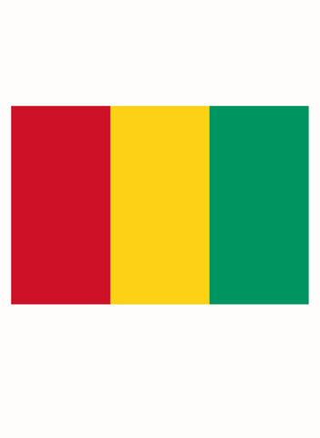 Guinean Flag Kids T-Shirt