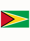 Camiseta bandera de Guyana