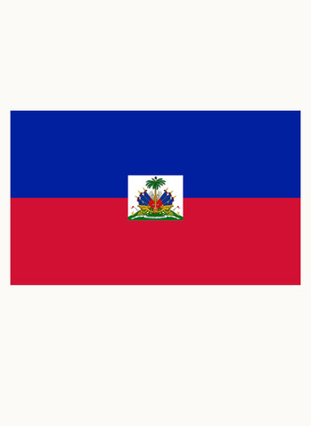 Haitian Flag Kids T-Shirt