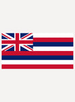 Camiseta de la bandera del estado de Hawaii