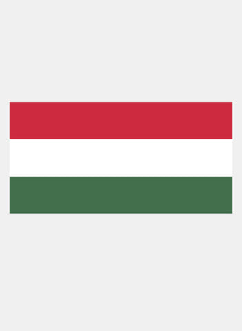 Hungarian Flag Kids T-Shirt